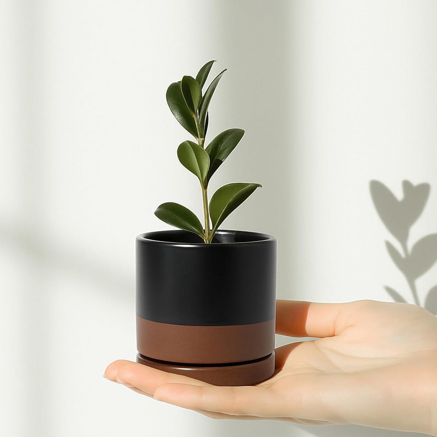 D'vine Dev Set of 4 Small Ceramic Plant Pots, 3.5 Inch Succulent Planter Pot for Plants with Drainage Hole and Saucer, Black/Speckled Tan, 94-X-A-7