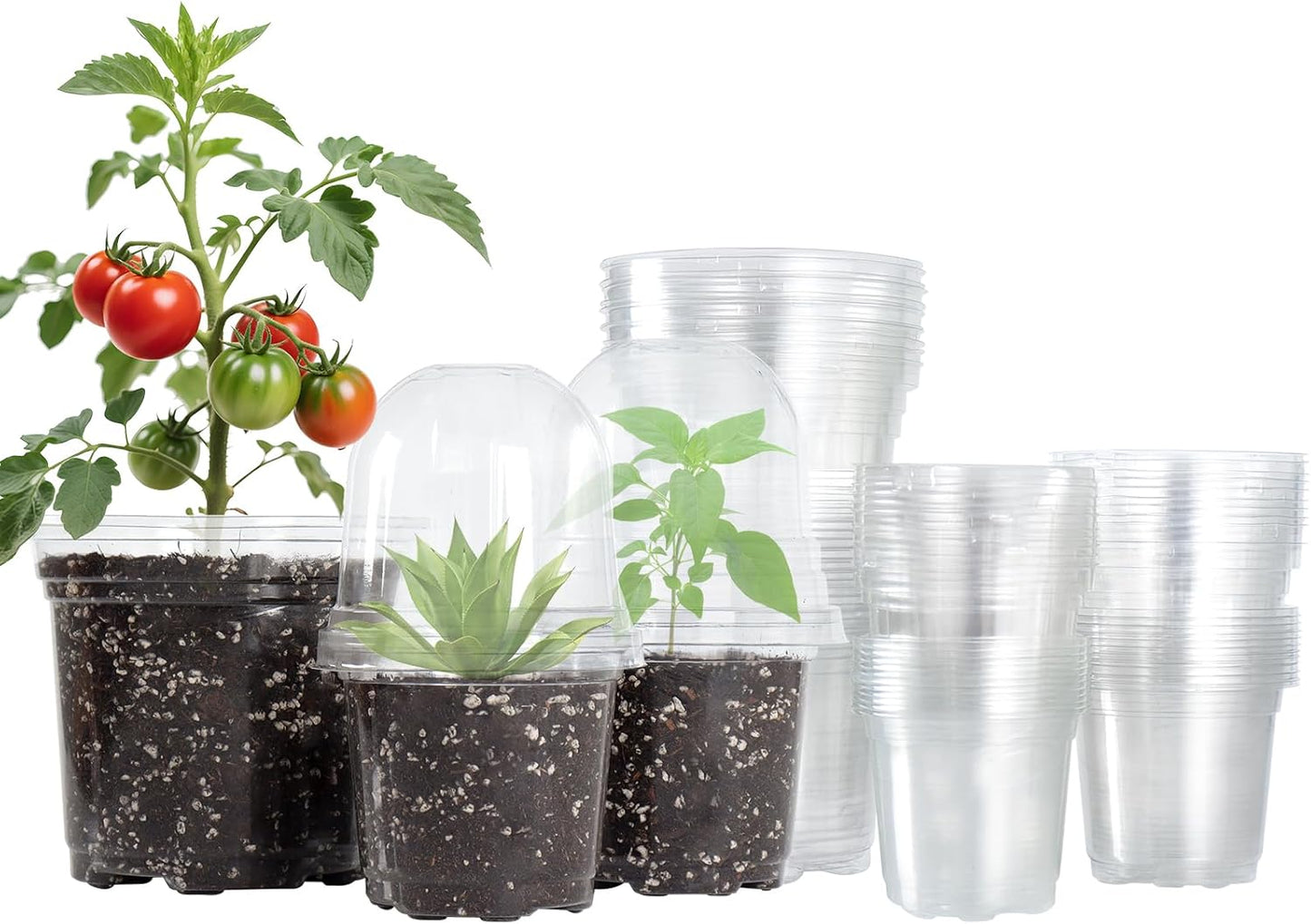 36 Packs 5/4/3.5 Inch Clear Nursery Pots with Humidity Domes, Transparent Plant Pots with Drainage Holes, Variety Pack Seed Starting Pots for Succulents, Flowers and Cactus