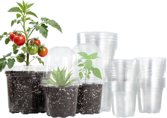 36 Packs 5/4/3.5 Inch Clear Nursery Pots with Humidity Domes, Transparent Plant Pots with Drainage Holes, Variety Pack Seed Starting Pots for Succulents, Flowers and Cactus