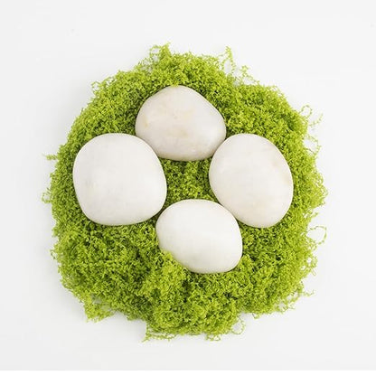 Natural Polished White River Rocks, 2-3 inches, 40 lbs - Perfect for River Rocks in Landscaping, Natural White Decorative Stones, Potted Plant Decorations, and Garden Design (White, Weight: 40 LB)