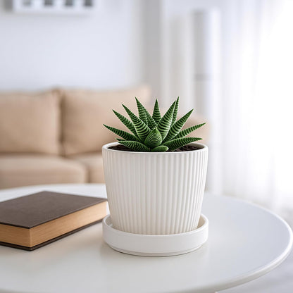 D'vine Dev Modern Round 3.7 Inch Ceramic Plant Pot Saucer, Planter Pot Drainage Tray for Indoor Plants, Set of 4, Matte White, 97-T-A-11