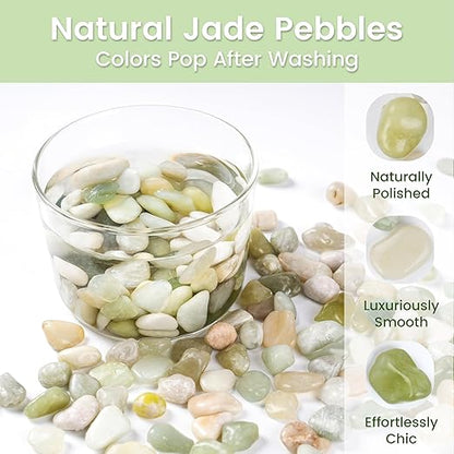 SIDONG 5 LB Jade Pebbles, 2/5 Inch Natural Decorative Polished Jade Stones, Jade River Rocks for Succulents, Cactus, Vases, Indoor Plants, Garden Landscaping, Bamboo