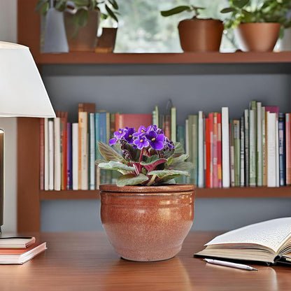 African Violet Pots Self Watering Round Ceramic Violet Pot (Copper, 6 inch)