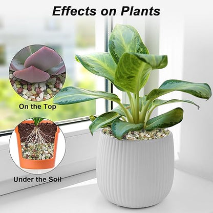 Landscaping Pebbles River Rocks Decorative Ornamental Pebbles Garden Landscaping Stones Gravel Filler for Home Decoration Flower Bed Fish Tank Plants Vases Succulents (1, Green, 5 Pounds)