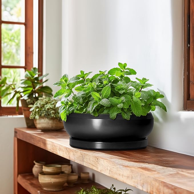 Bonsai Pots 10 Inch - Ceramic Succulent Planters Indoor Outdoor, Bonsai Pots with Drainage Hole and Tray, Modern Shallow Planter, Round Bowl Planter, Garden Decor, Garden Gift, Black