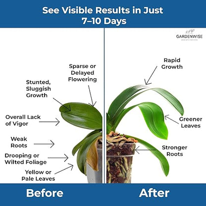 20-20-20 Water-Soluble Fertilizer – Powder for Liquid Plant Food for Indoor & Outdoor Plants, Orchids, Vegetables, Lawns, Flowers – 20 20 20 Fertilizer 1 Quart (2 lbs)