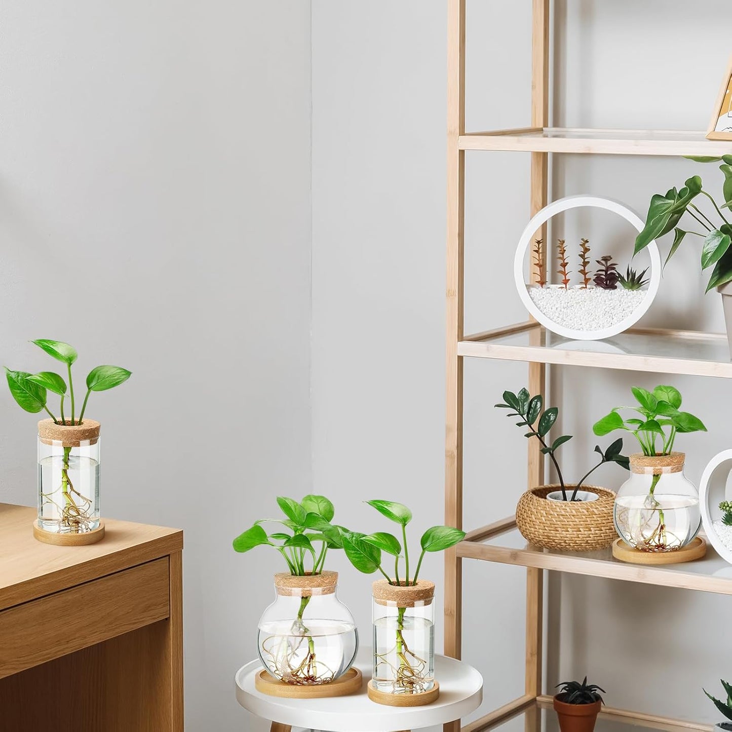 Layhit 4 Pcs Plants Propagation Stations vases Glass Planters with Wooden Lid and Bamboo Stand for Hydroponic Plants Gardening Gifts for Women Mom Home Office Tabletop Decoration(Funny Style)