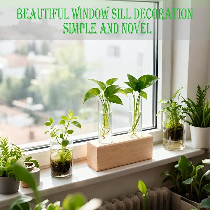 Desktop Glass Plant Propagation Station with 2 Tubes and Wooden Stand - Hydroponic Plant Cuttings Holder for Office Desk, Home Decor, Terrarium