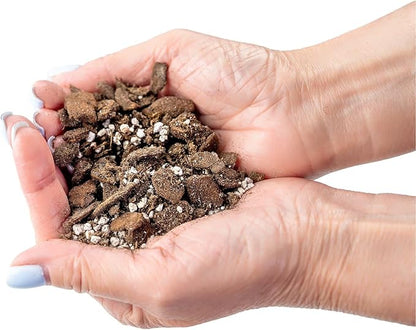 Gardenera Premium Albuca Spiralis Potting Soil Mix - Perfect Balance of Nutrients, Drainage, and Aeration for Thriving Blooms - 20 Quart