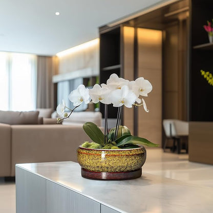 Succulent Planters 8 Inch - Ceramic Bonsai Pots with Drainage Hole and Tray, Shallow Plant Pot Indoor Outdoor, Round Succulent Pots, Planter Bowl, Porch Decor, Housewarming Gifts, Yellow