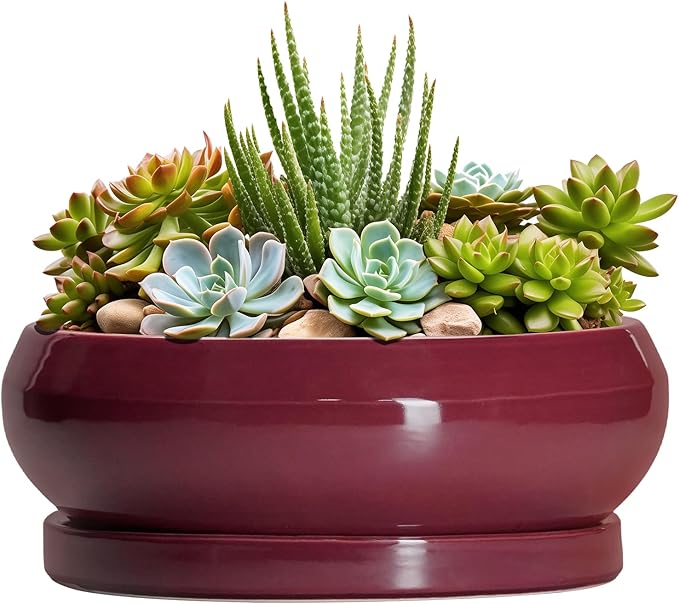Succulent Pots - 8 Inch Bonsai Pots for Indoor Outdoor, Shallow Ceramic Planter with Drainage Hole and Saucer, Round Flower Succulent Planters, Apartment Decor, Gardening Gift, Red