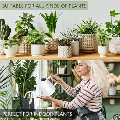 Watering Can Indoor Plants, 35oz Small Stainless Steel Metal Watering Can Modern Decorative Watering Pot with Long Spout for Indoor House Plant Bonsai Outdoor Garden Flowers -White