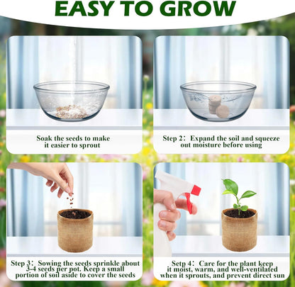 Bonsai Tree Kit, Wooden Bonsai Starter Kit, Coolrunner Bonsai Tree Starter Kit, Mini Bonsai Plant Growing Kit with Seeds Packets, Soil Discs, Jute Bags, Plant Markers, Gardening Tools etc (No Seeds)