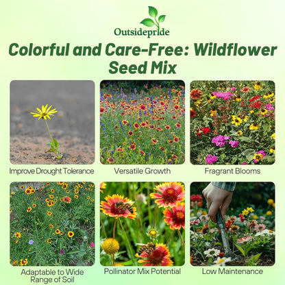 Outsidepride Southeast Wildflower Seed Mix - 1 lb Highly Adaptable, Easy to Grow, Low-Maintenance Mix of Annual & Perennial Wildflower Seeds for Natural Landscapes in Southeastern States