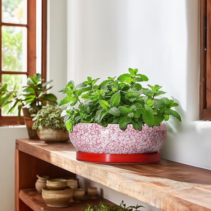 Bonsai Pots 10 Inch - Ceramic Succulent Planters for Indoor Plants Outdoor, Succulent Pots with Drainage Hole and Tray, Round Shallow Planter, Bonsai Planter, Home Decor, Gardening Gift, Red