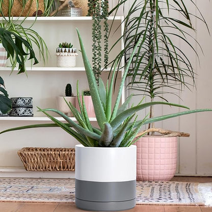 D'vine Dev 10 Inch Ceramic Planter Pot with Drainage Hole and Saucer, Indoor Cylinder Round Planter Pot, White/Speckled Grey, 94-O-E-6