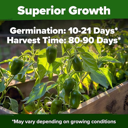 HOME GROWN 𝗨𝗦𝗔 𝗣𝗥𝗘𝗠𝗜𝗨𝗠 Jalapeno Pepper Seeds – 129 𝗡𝗢𝗡-𝗚?𝗢 Heirloom Seeds (Capsicum annuum) – High Germination, Easy to Grow, Early Harvest Hot Peppers