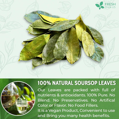 FreshDrinkUS, Premium 275+ Soursop Graviola Whole Dried Leaves Tea, 275-300 Soursop Graviola Guanabana Whole Leaves, Wildcrafted, Hoja Guanabana Loose Leaf Herbal Tea, No Gluten, Vegan