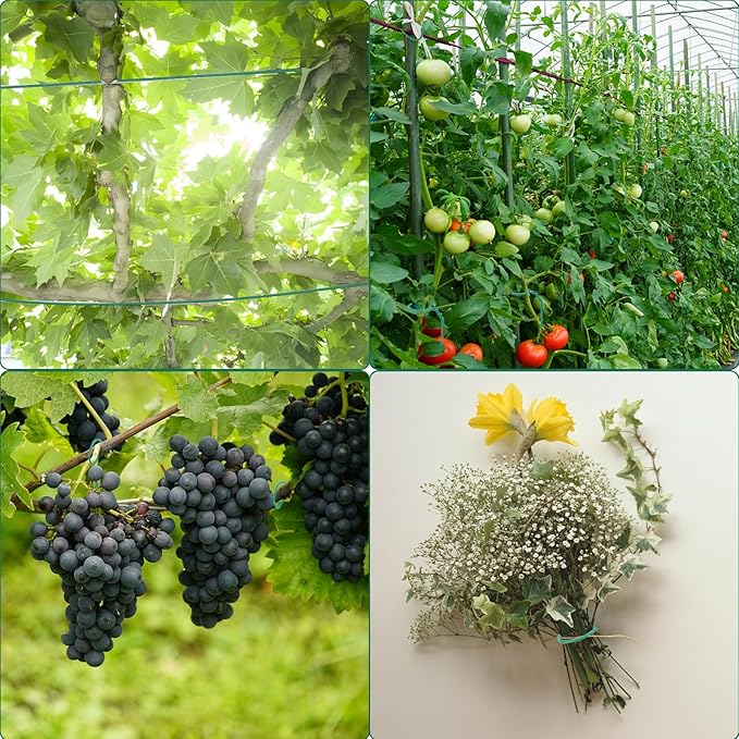 YDSL 100 Feet Soft Tie for Plants, 3 Pack Green Twist Garden Ties Gardening Supplies for Supporting Climbing Plants, Tomatoes, Vegetables, (Diameter - 2.5MM)