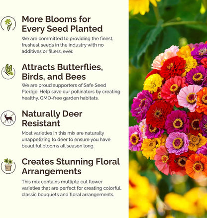 Eden Brothers Heirloom Flower Mixed Seeds for Planting, 10 lb, 4,800,000+ Seeds with Zinnia, Toadflax, Evening Primrose | Attracts Pollinators, Plant in Spring or Fall, Zones 3, 4, 5, 6, 7, 8, 9, 10