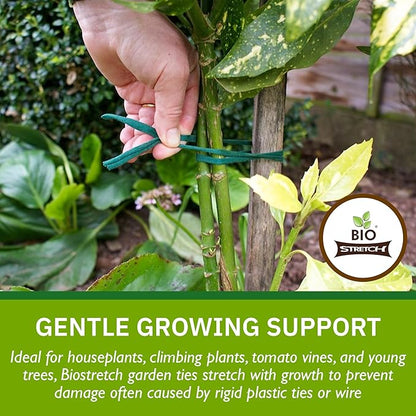 Soft Garden Plant Ties for Indoor & Outdoor Plants - Strong & Stretchy Cut-to-Length Plant Tape for Climbing Plants, Tomato Vines & Home Gardening (65 ft / 20M)