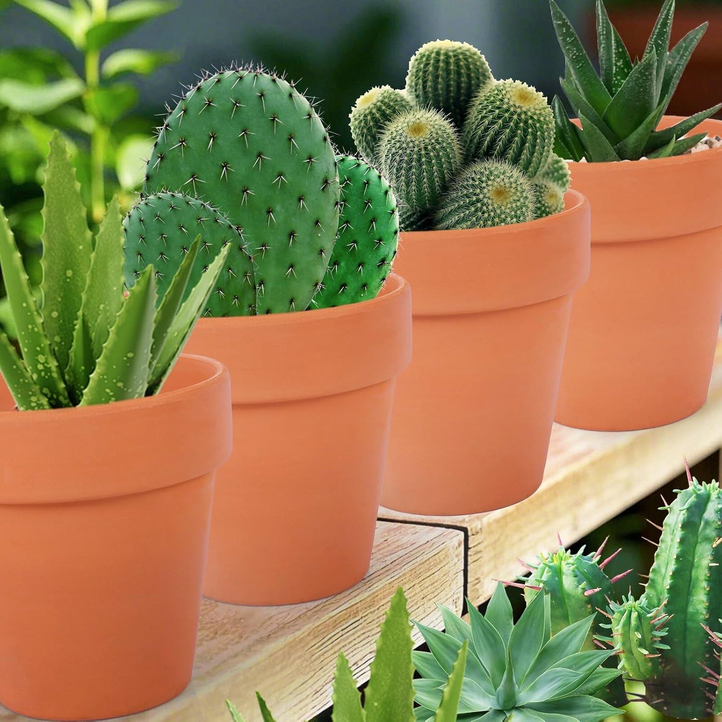 26 Pack Terra Cotta, 3inch Small Clay Flowerpots with Drainage Hole, Terracotta Pot for Indoor Outdoor Plant, Great for Plants, DIY Crafts