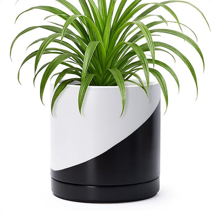 D'vine Dev 8.2 Inch Ceramic Planter Pot with Drainage Hole and Saucer, Indoor Cylinder Round Planter Pot, Oblique Monochrome Black and White, 94-O-D-K