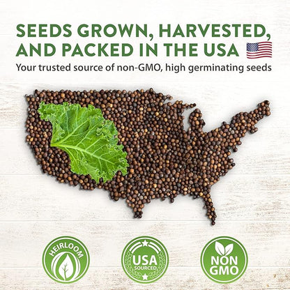 HOME GROWN 21,600+ Lettuce Seeds for Planting - 20 Heirloom Varieties, Non-GMO USA - Romaine, Butterhead, Iceberg, Leaf Lettuce, Spinach & Kale - Indoor, Outdoor & Hydroponic Garden Kit