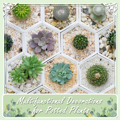 5lbs Natural River Rocks, Polished Pebbles for Plants Garden, 0.3-0.8 inch Decorative Peach Stones, Ideal for Fish Tank, Vases, Crafting, Home Decor and Garden Landscaping Rocks,Peach