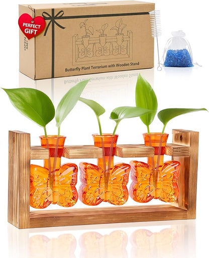 Nacome Butterfly Vase Propagation Stations: Glass Plant Terrarium with Wooden Stand for Home Office Desk Decor, Unique Gifts for Plant Lovers Women Mom (Orange)