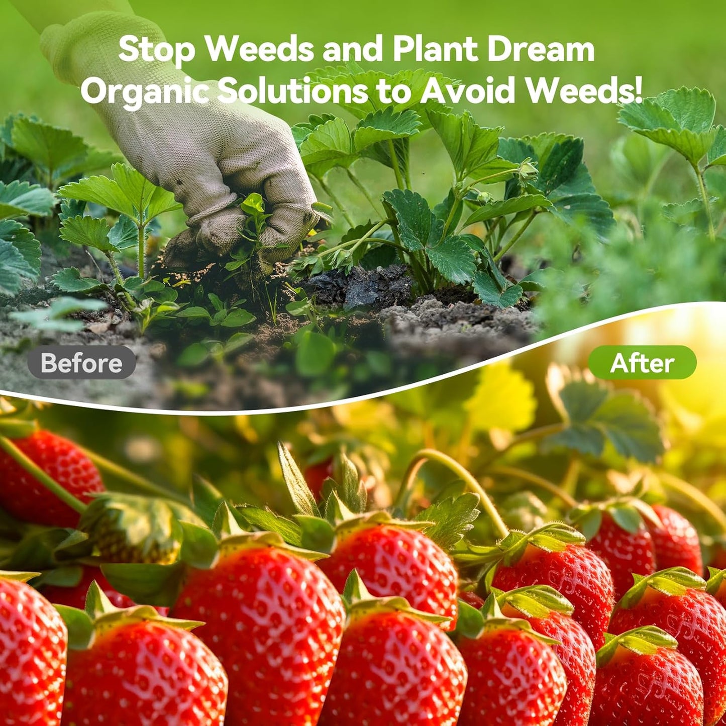 2.6ftx100ft Weed Barrier Landscape 3.2oz Fabric Heavy Duty, Woven Weed Control Cloth, Woven Geotextile Fabric for Underlayment, Gardening Ground, Commercial Driveway Weed Block Cover Mat