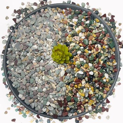 15LB Succulents Rocks for Plants Cactus Gravel Pebbles for Fish Tank 1/2 Inch Natural River Rocks for Vase, Aquarium, Landscaping,Bonsai,Terrarium Pebbles, Mixed Color