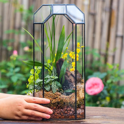 NCYP Open Glass Geometric Terrarium for Plant, Succulent, Cacti - 5.5"x5.5"x12.8" Indoor Tall Octagon Glass Planter, Home Garden Office Vintage Decoration, Micro Landscape (Terrarium Only)