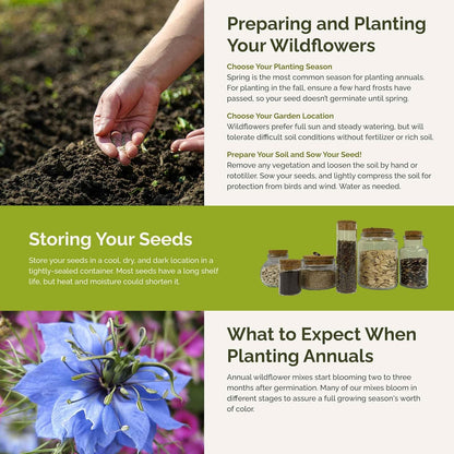 Eden Brothers Country Garden Flower Mixed Seeds for Planting, 1/4 lb, 120,000+ Seeds with Scarlet Flax, Cosmos Sensation | Attracts Pollinators, Plant in Spring or Fall, Zones 3, 4, 5, 6, 7, 8, 9, 10