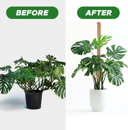 EcoNour 28" 2 Pack Moss Pole | Moss Pole Monstera Plant Support | Plant Sticks for Indoor Climbing Plants | Support for Potted Plants Like Pothos, Philodendrons, and More