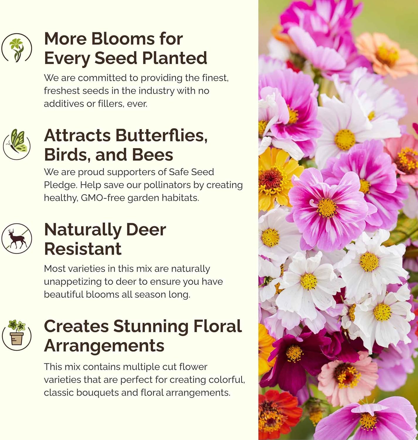 Eden Brothers Cosmic Zen Flower Mixed Seeds for Planting, 1 lb, 480,000+ Seeds with Zinnia Dahlia Flowered, Cosmos Sensation | Attracts Pollinators, Plant in Spring, Zones 3, 4, 5, 6, 7, 8, 9, 10