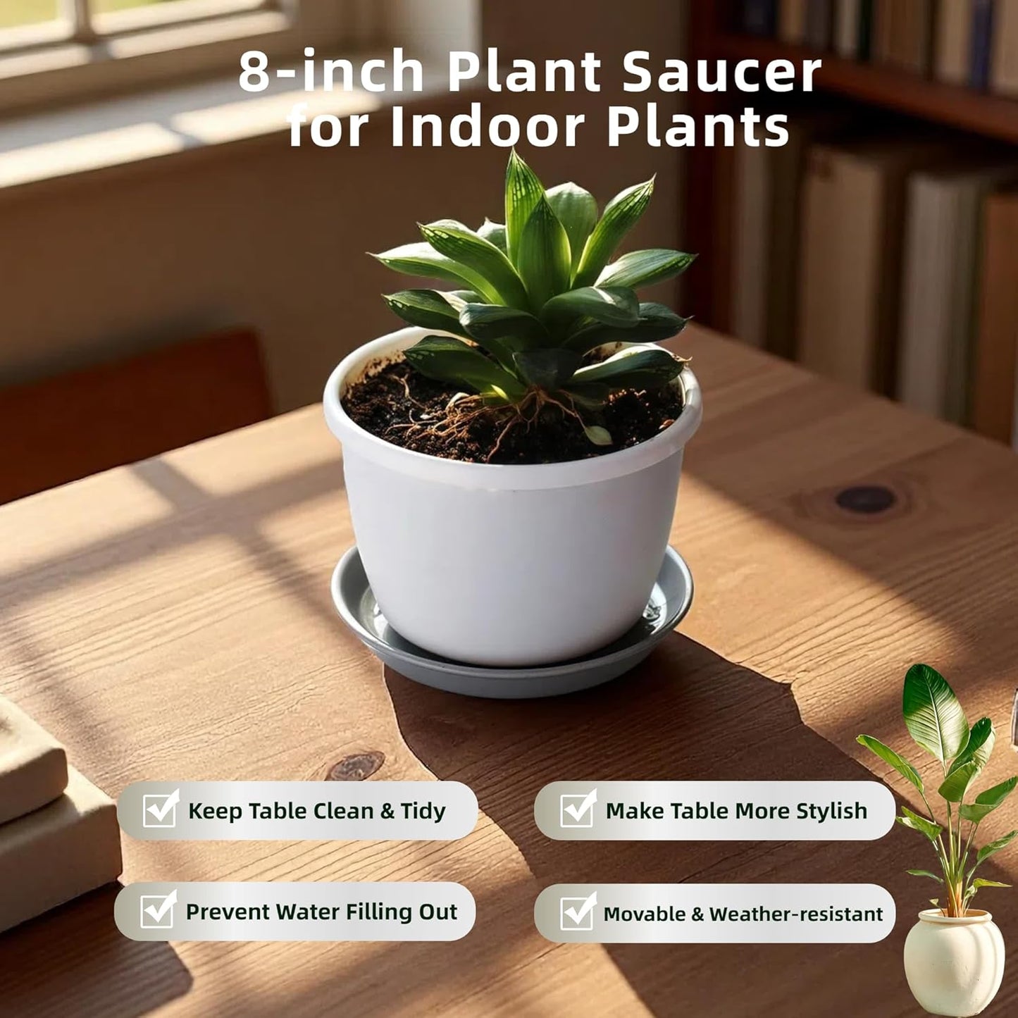 6 Pack 8-Inch Gray Plant Saucer Trays, Durable PP Plastic Pot Bases for Small Medium Planters, Modern Round Flower Pot Water Catcher Plates & Drip Trays for Indoor Plant Care