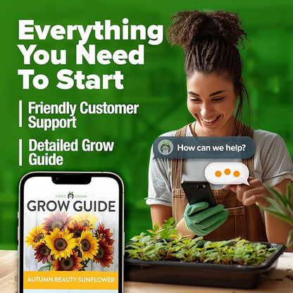 HOME GROWN 𝗨𝗦𝗔 𝗣𝗥𝗘𝗠𝗜𝗨𝗠 Autumn Beauty Sunflower Seeds to Plant 40 Heirloom Non-GMO Sunflower Seeds for Planting Blooms for Pollinator Support, and Ornamental Flower Garden (Helianthus annuus)