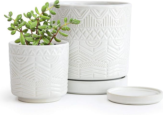 D'vine Dev Set of 2 Modern Matte White Floral Embossed Ceramic Planter Pot with Saucer and Drainage Hole, 4 Inch & 6 Inch, 99-C-1-M