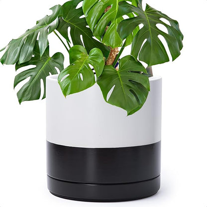 D'vine Dev 10 Inch Ceramic Planter Pot with Drainage Hole and Saucer, Indoor Cylinder Round Planter Pot, Layered Monochrome Black & White, 94-O-E-L