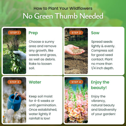 Created By Nature Hummingbird & Butterfly Wildflower Seed Mix, 18 Varieties, 60,000 Wildflower Seeds