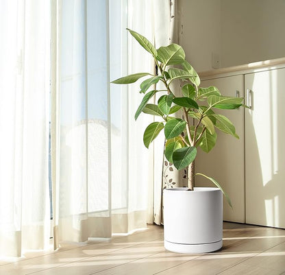 D'vine Dev 12 Inch Ceramic Planter Pot with Drainage Hole and Saucer, Indoor Cylinder Round Planter Pot, White, 94-O-F-1