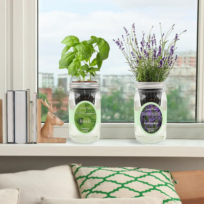 2-Pack Hydroponic Mason Jar Herb Garden Kit, Indoor Herb Garden Self-Watering Starter Kit (Basil,Lavender)