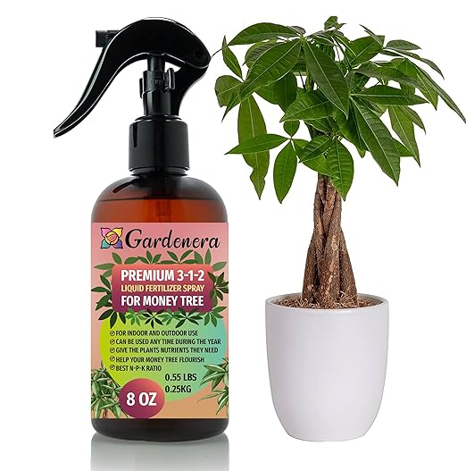 Gardenera Professional Money Tree Spray Fertilizer Mist for Home Gardening | 3-1-2 Gentle Blend Mist for Healthy Leaves & Growth | Essential Nutrients for Money Tree - 8oz