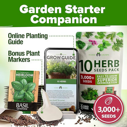 HOME GROWN 10 Herb Seeds for Planting 3,000+ Non-GMO Heirloom Seeds | Extra Large Variety Pack Herb Kit – Indoor Outdoor & Hydroponic | Culinary Seed Set | Grow Your Own Herbs | Gift for Beginners