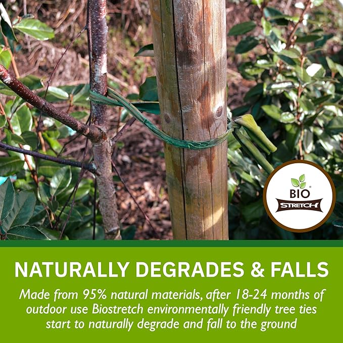 Extra Wide Soft Tree Ties - Strong & Stretchy Support for Large Plants & Young Trees - Cut-to-Length Green Garden Tape for Home & Professional Gardening (26 ft / 8M)
