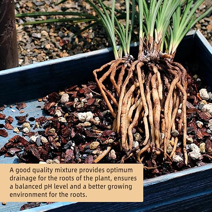 10 Quart Bonsai Soil Mix Lava,Pumice,Pine Bark and Calcined Rock, Natural Organic Mix for Potted Plants…