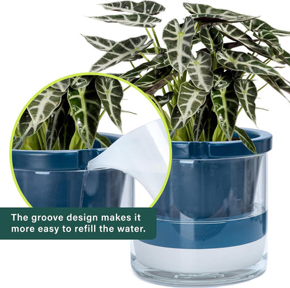 D'vine Dev 10 Inch Design Self Watering Planter for Indoor Plants, Blue Terracotta Pot with Cylinder Glass Cup, 37-X-D-4