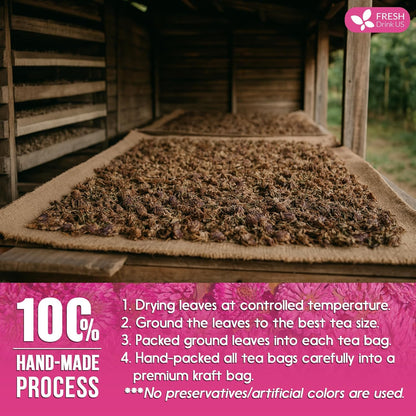 FreshDrinkUS, Premium Red Clover Herbal Tea– 135 Tea Bags – Pure – Naturally Smooth & Mild Flavor – Premium Quality, Eco-Conscious Packaging. Caffeine-Free. Gluten Free. Vegan