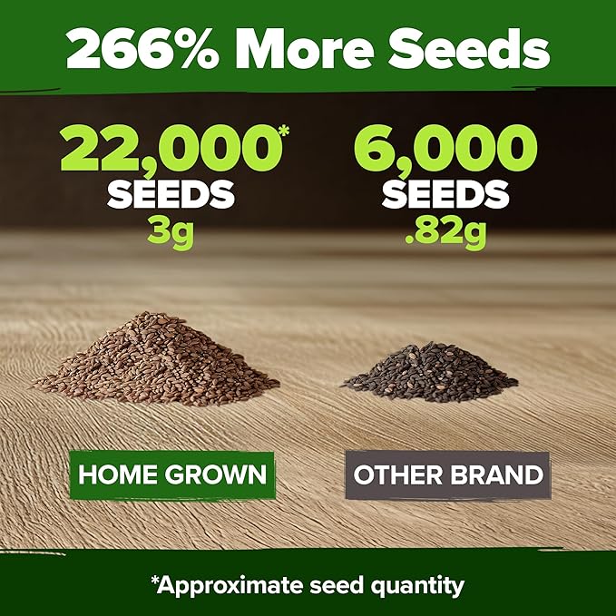 HOME GROWN Purple Creeping Thyme Seeds – Non-GMO Ground Cover Flowers – 22000+ Edible Herb Seeds for Planting Lawns & Paths – 3g Perennial Thymus serpyllum